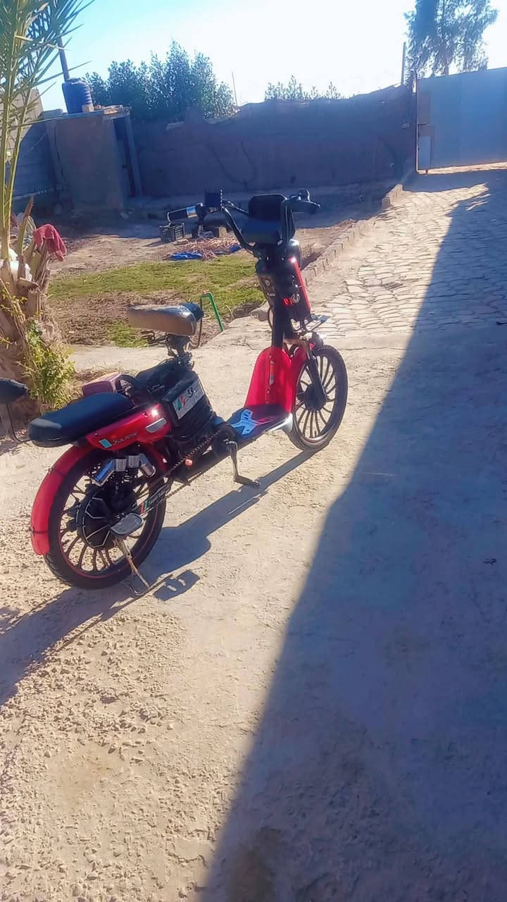 السلام عليكم 
بايسكل شحن للبيع 
موديل 2024
استخدام شي قليل 
بطاريات اربعه مبدلهن جديدات 
ثلاثه نمر اوتو
تايرات قبل عشره ايام مبدلهن جديدات
سويج تشغيل +سويج قفل البطاريه +سويج قفل وتامين التاير الخلفي 
العنوان كربلاء الحسينيه 
الاستفسار  ***********
@إشارة
