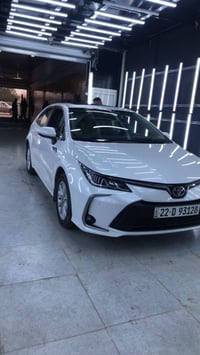 كورلا • ٢٠٢٤ • رقم اربيل