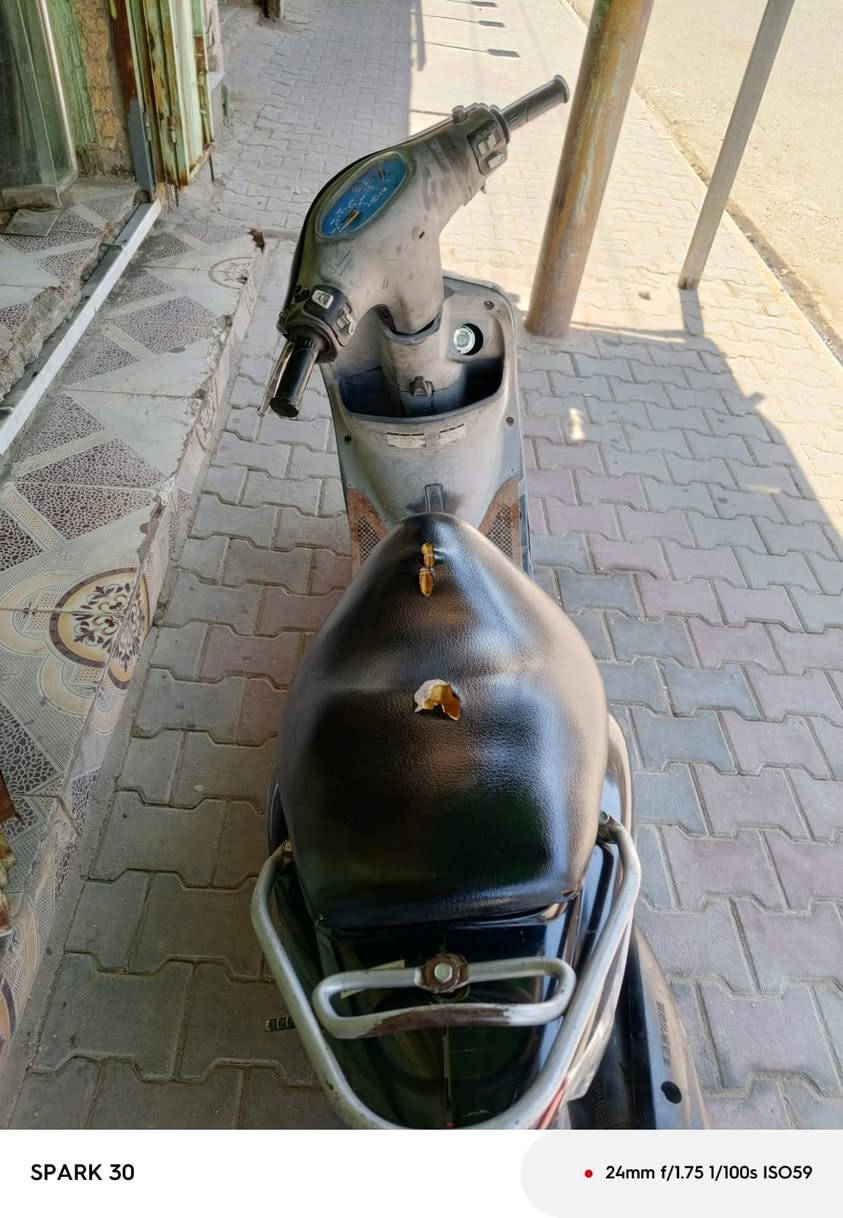 ماكس منغولي البيع كلشي اصلي بيهه ما مفتوحه كفرهه ختم واحد عوزهه نواقص قليله سعر خاص ***********وتساب
