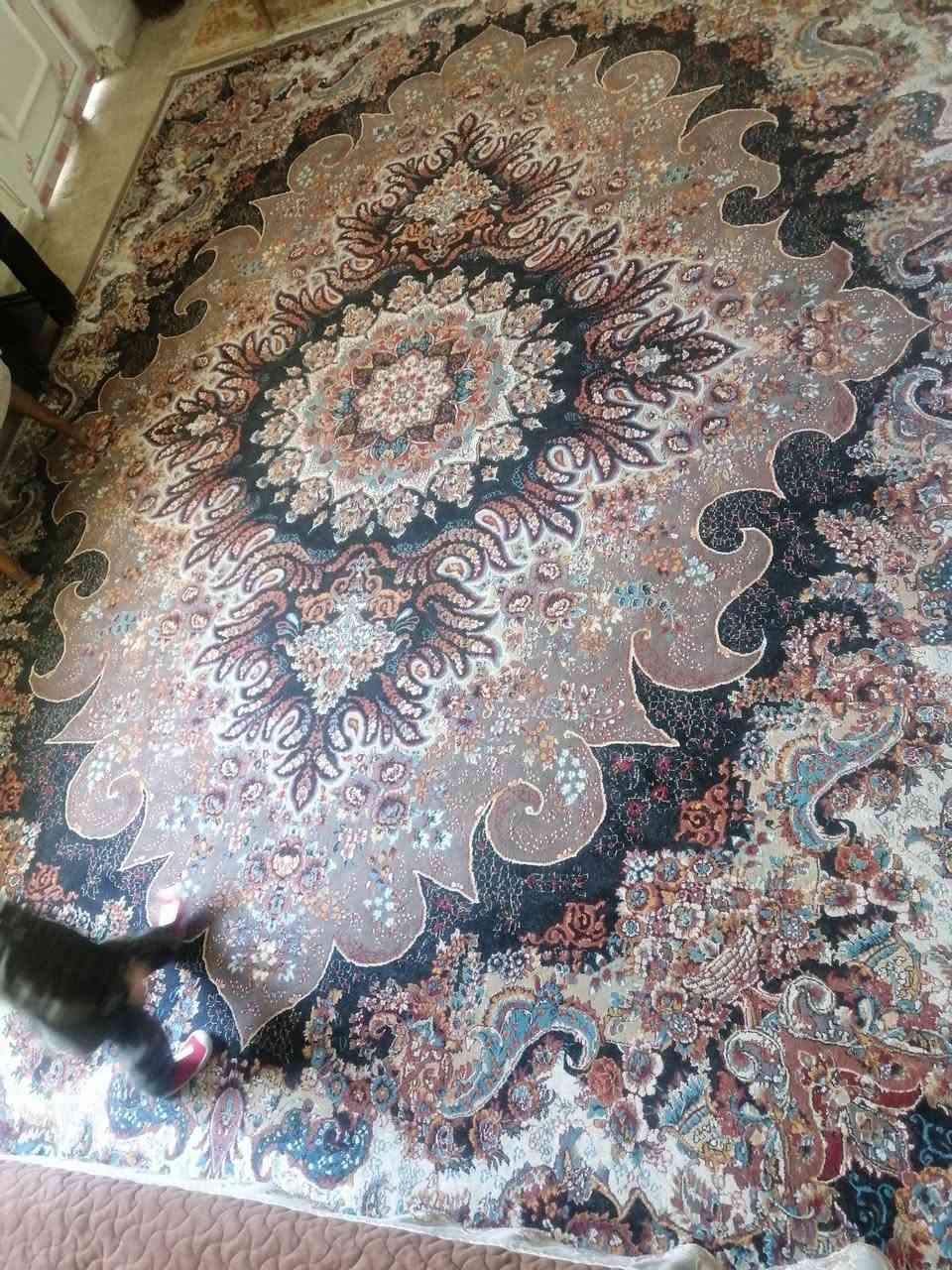 محفورة قياس ٣ في ٤ اي عيب ما بيها السعر ٥٠


**إذا كنت صاحب هذا الإعلان وتريد حذفه لأي سبب، رجاءا أرسل رسالة إلى الدعم الفني**