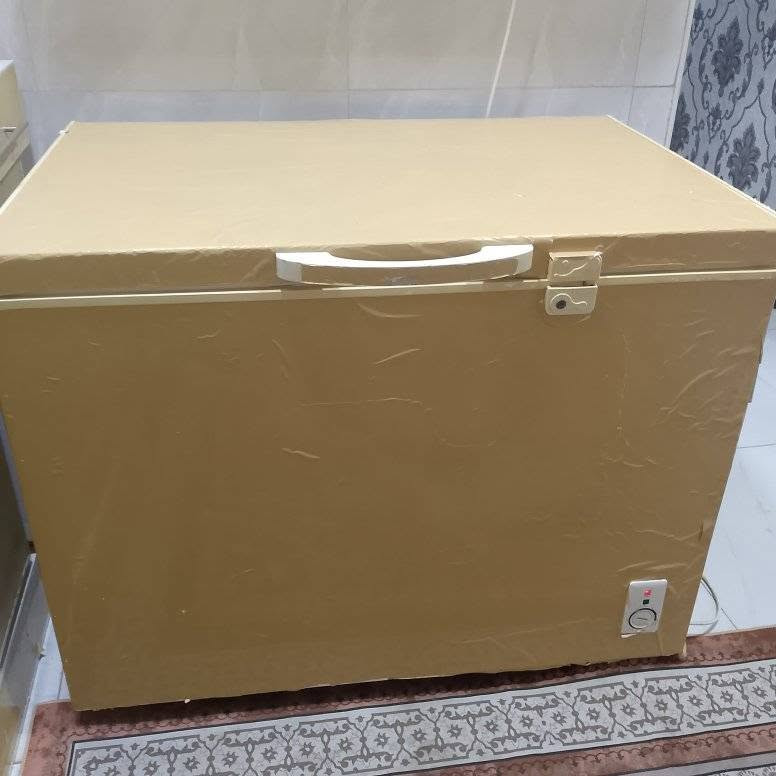 مجمده لبيع على الشرط وضمان ابد ما داخله تصليح ا


**إذا كنت صاحب هذا الإعلان وتريد حذفه لأي سبب، رجاءا أرسل رسالة إلى الدعم الفني**
