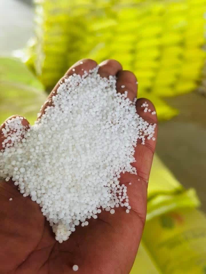 يتوفر لدي ابيضّ عراقي يتوفر توصيل كافت المحافظات ***********
