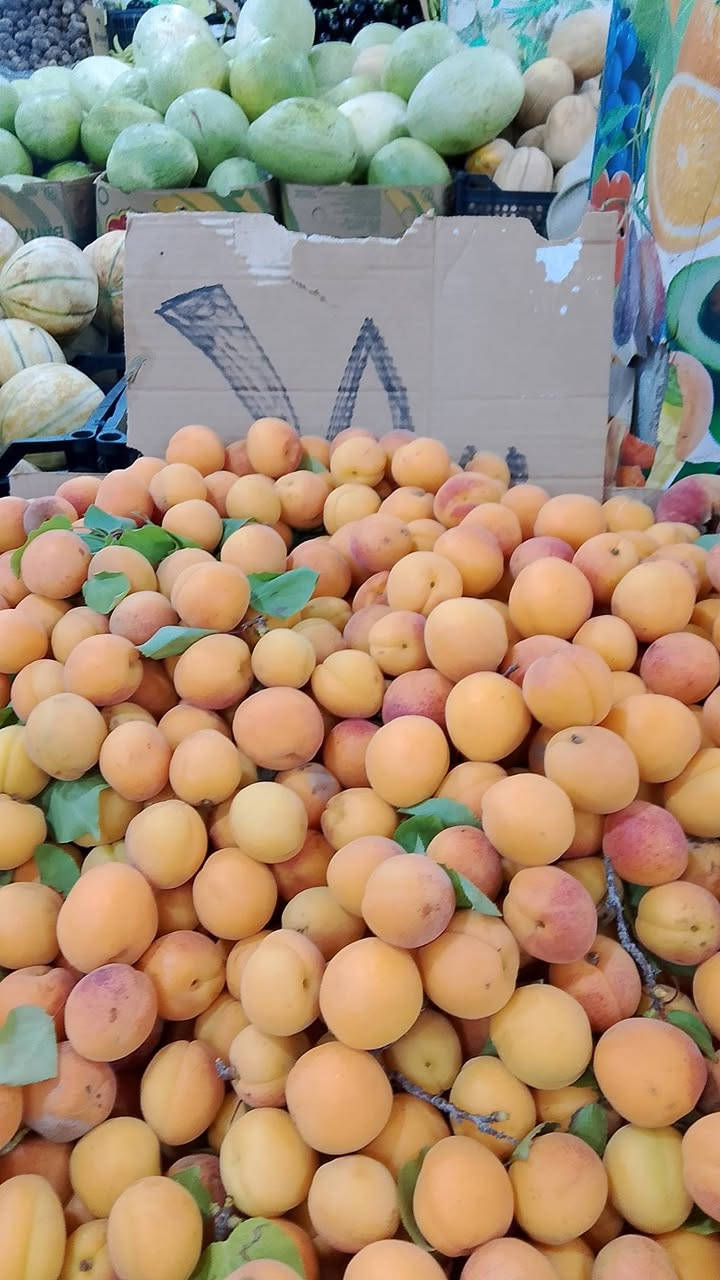 🍉 فواكه طازجة وفرش اليوم 🍉

🍎 تفاح أصفر — 1500 د.ع
🍎 تفاح أحمر — 1500 د.ع
🍏 تفاح أخضر — 2500 د.ع
🥕 جزر — 1000 د.ع
🍇 عنب أسود + أخضر — 3000 د.ع
🍇 عنب أسود — 1250 د.ع
🍐 عرموط — 2000 د.ع
🍑 ألو أحمر — 1500 د.ع
🍑 مشمش — 1500 د.ع
🍑 خوخ عادي — 2000 د.ع
🍑 خوخ كعكي — 2000 د.ع
🥭 لالنكي — 2000 د.ع
🍊 برتقال — 1250 د.ع
🍌 موز — 1500 د.ع
🍈 منكه — 1250 د.ع
🍒 كرز — 5000 د.ع
🍉 بطيخ مشيف — 750 د.ع
🍉 ركي — 500 د.ع
❤️ رمان — 5000 د.ع

🚚 التوصيل داخل بهرز بـ1000 دينار فقط.
رقم الواتساب 📞......‏‪***********‬‏
