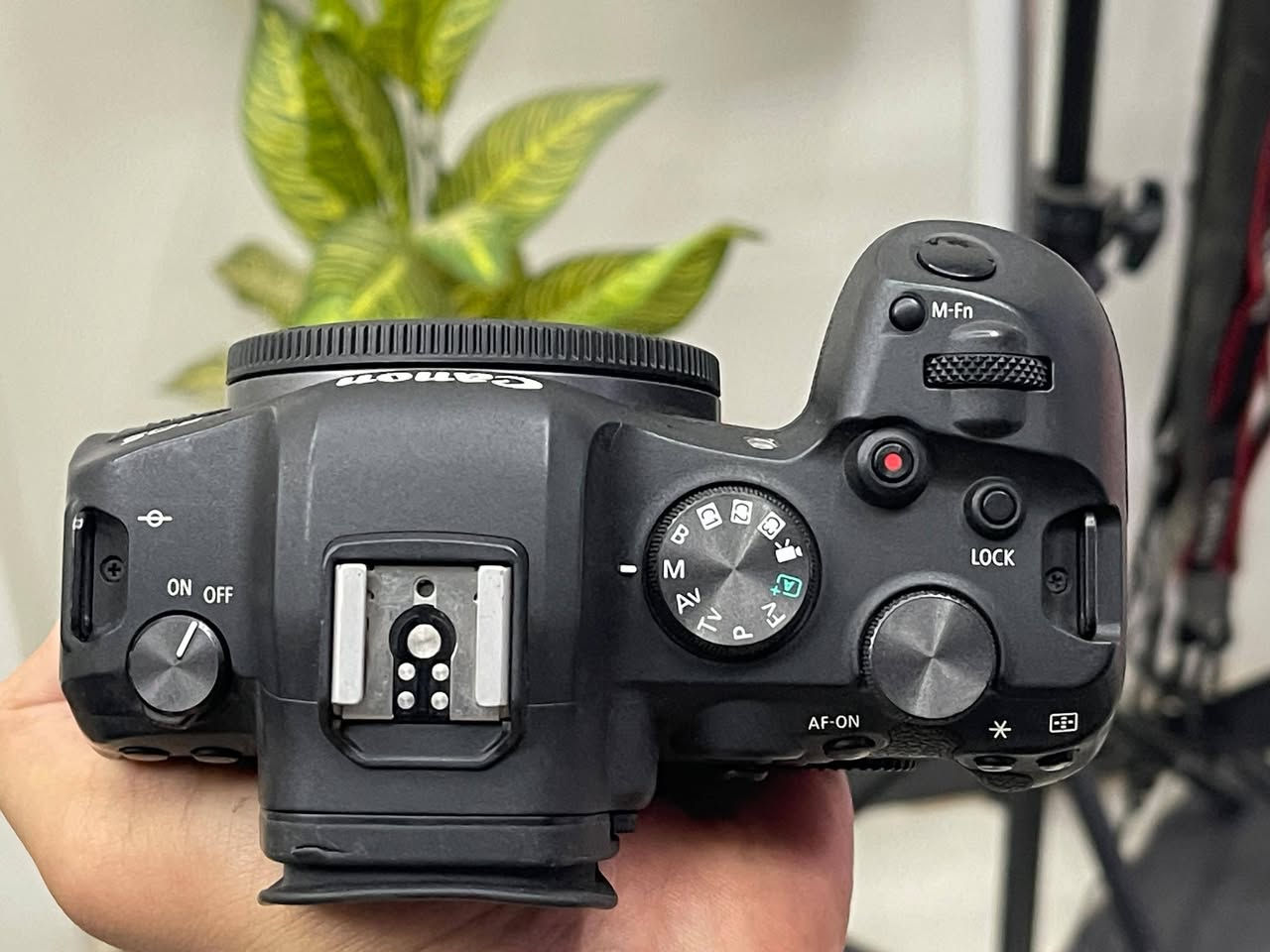 For sale
Canon R6
بالبوكس كامل 
ضمان 3 شهور
متاح شحن لجميع المحافظات 
للتواصل فون او واتس 01016242875


**إذا كنت صاحب هذا الإعلان وتريد حذفه لأي سبب، رجاءا أرسل رسالة إلى الدعم الفني**