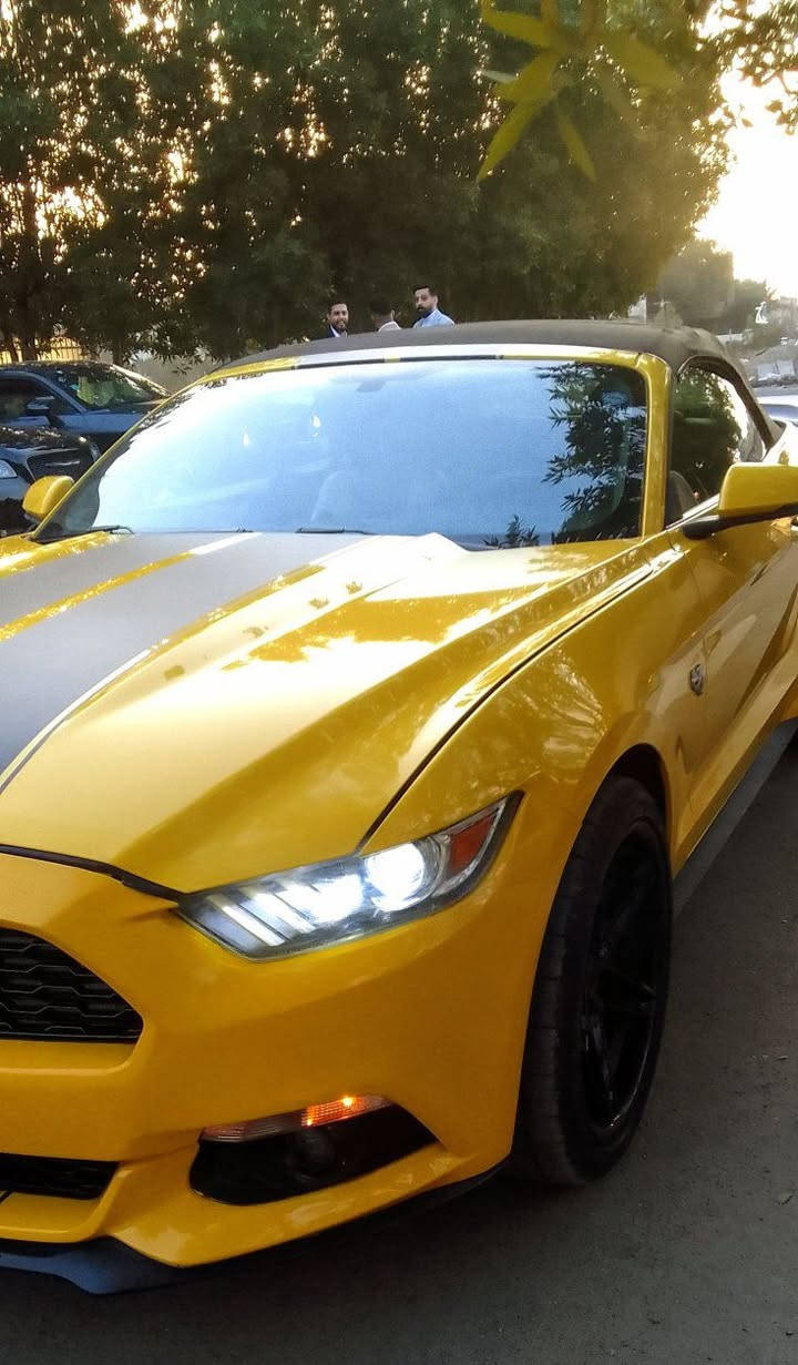 موستنك موديل 2017فوول كشف لون مميز اصفر ايكو بوست حادثھھ شوية من البنيد مبدل اصلي نفس اللون السيارة مكفولة من الصبغ ماعدا الدعامية محدثة GT.وبيھھ اصبع سحب كت كما موضح بالسونار.الشواصي واللغود سليمة محرك كيرحدادية تدفئة تبريد تمام وبسعر مناسب..عليھھ كت كامل السيارة نصبتھھ كلش حلوة ويل كب 20كراسي جلد تدفئة تبريد شاشة كبيرة كامرة حساسات خلفية بصمة تشغيل عن بعد  ..السيارة جاھزة ومابيھھ اي نقص..مكاني بغداد حي الجھاد وبسعر مناسب نقد اومراوس..***********..غيرمتواجد على الفيس رقمي بي واتساب للتفاصيل والاستفسار
