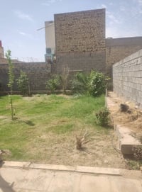 الكوفه براكيه • ٢٠٠م • طابو زراعي