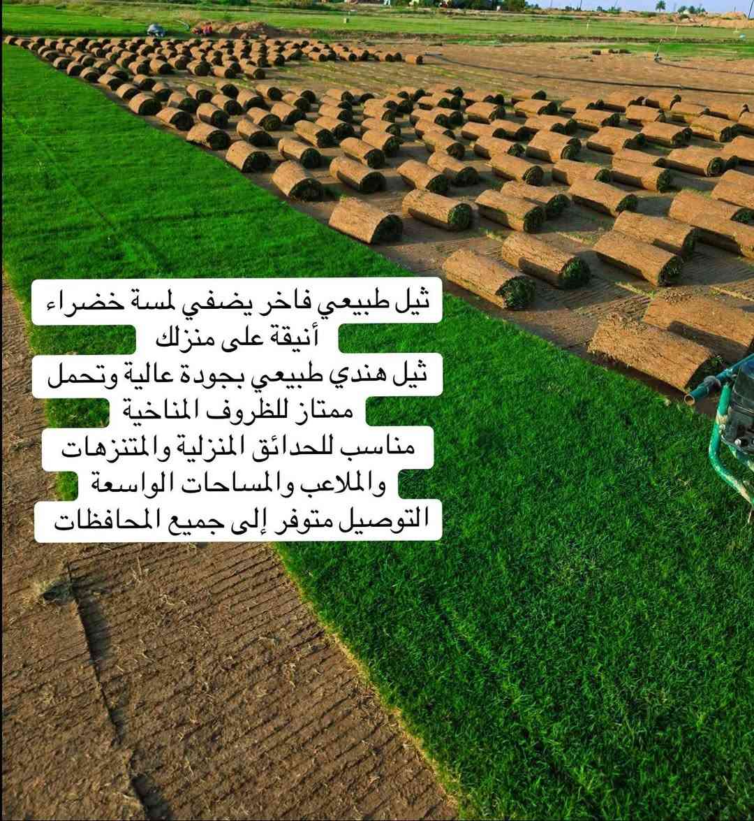 بسم الله الرحمن الرحيم
والحمد لله رب العالمين.    التواصل معة مدير العمل ***********

🔹 مستعدون لتجهيز كافة الدور السكنية

🔹 وكافة الدوائر والمؤسسات الحكومية

🌱 بأجود أنواع الثيل الطبيعي المستورد وبأفضل الأسعار 🌱

نوفر لكم الأنواع التالية:

✅ ثيل فرنسي

✅ ثيل إيطالي

✅ ثيل هندي

✔ جودة عالية

✔ تركيب بإشراف مختصين

✔ سرعة في الإنجاز

✔ أسعار تنافسية

📞 للحجز والاستفسار:

***********

***********

🌿 نهتم بجمال مساحتك الخضراء… لأن ذوقك يهمنا 🌿
