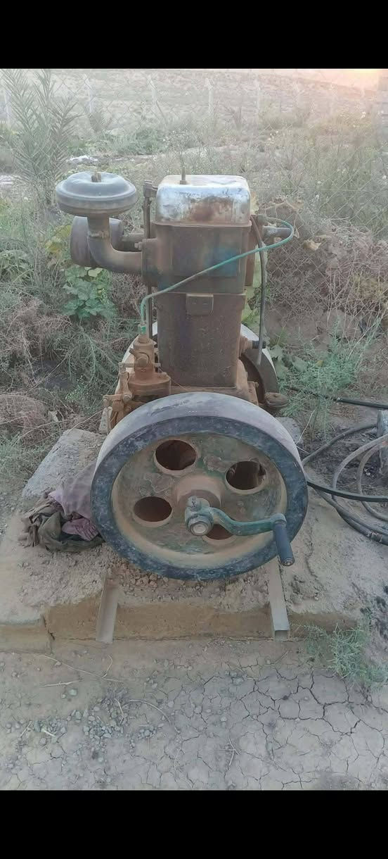 سلام عليكم ورحمة الله وبركاته للبيع شلع العدد ١٠ بدون راس توليد سعر ٣٠٠ قفل الي يخدمه المنشور يجي يحمل صبح عنوان كركوك حويجه الاتصال على الرقم ***********
