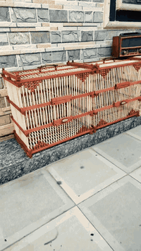 يالله سلام عليكم خصم الحجي ذني مال جناية ؟  الفكريات حاول اشدلهة اقفاص انتيكم شغل ذمة وضمير خشب جام روسي مضروب كاغد تنعيم دبل صبغ قياسات الوجه 60 ارتفاع 52 نزال 35  توصيل جميع المحافضات حجز واتساب رقمي *********** بس ذني متوفرات
