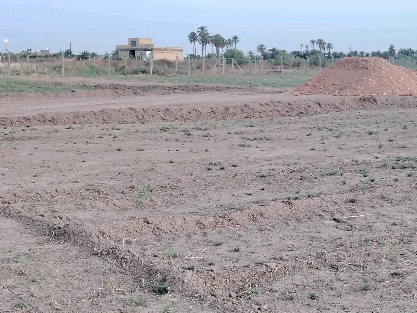 عرصه زراعي مساحه 200متر خلف حي الجامعه يم مجمع الضباط الجديد يم حيدر ابن هندي عندي عرصه زراعي مساحه 300 متر يم البو صالح ***********