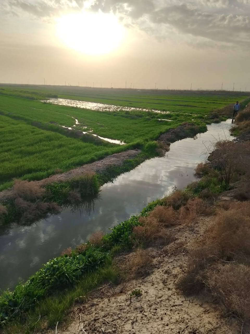 *********** ارض زراعيه للبيع  ٣٥ دونم في المزاك قريه قرطبه
