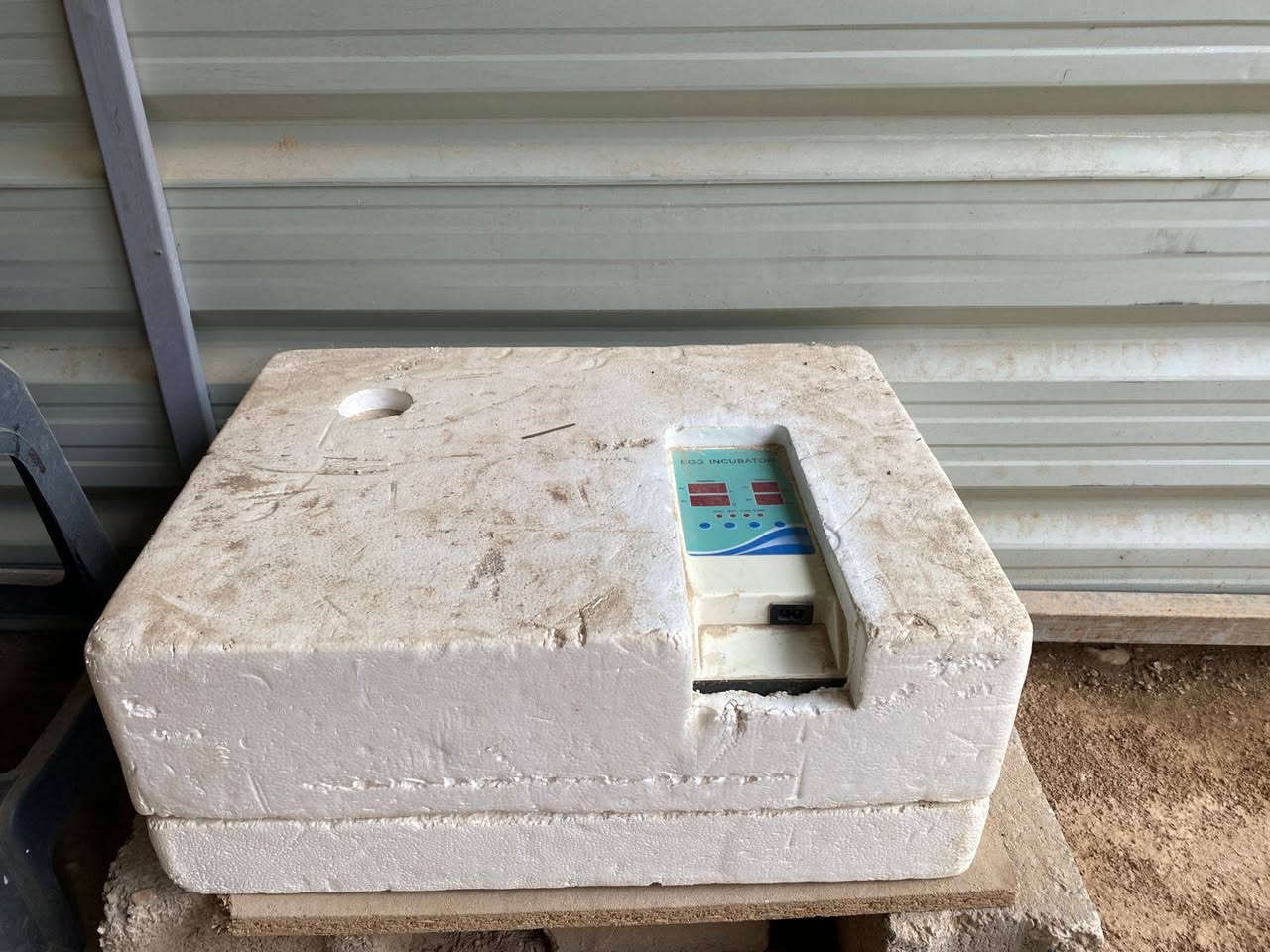 السلام عليكم مكلف بل نشر فقاسه عدد 60 بيضه قلاب اوتو ماتيك سعره 75 الف وبيه مجال بسيط والقفص سعره 40 الف وبي مجال بسيط  *********** اي استفسار اكثر اتصل علا صاحبهن وميكون خاطرك اله طيب
