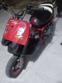 دراجة فراشة • نظيفه • بصرة ابو الخصيب