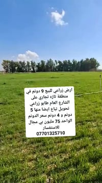 تازة • ٢٥٠٠م • تجاري