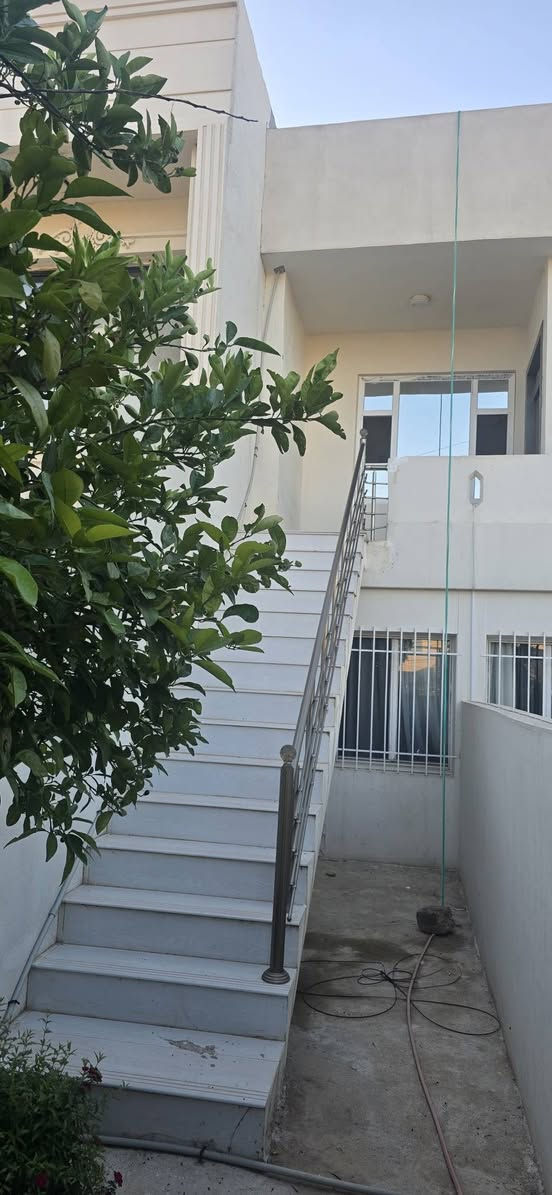 ***********
***********
بيت في دوميز الباب الاول للايجار ٣٠٠ الف و مجال ، قريب دورة شيخ و مدرسة برايه تي ، مكان نضيف و هادئ، ثلاث غرف و صحيات و مطبخ و هول .
