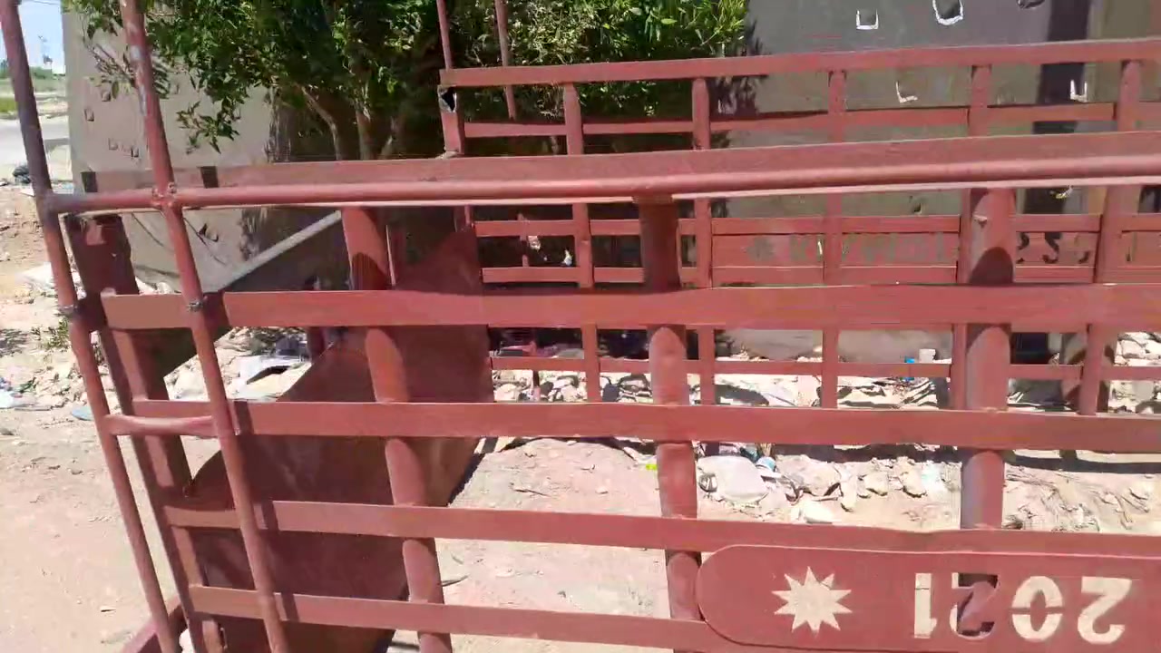 سلام عليكم محجر كيا فحل البيع نضيف خوش محجر  السعر  250 المكان الكوت هذا رقمي ‏‪***********‬‏
