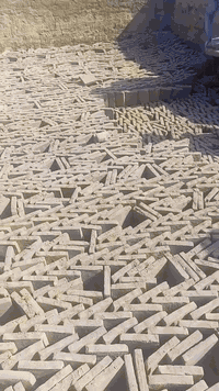 فرشي خضراوي درجه اولى شرط وحده مو زينه ما بيهن ///***********/////////***********
