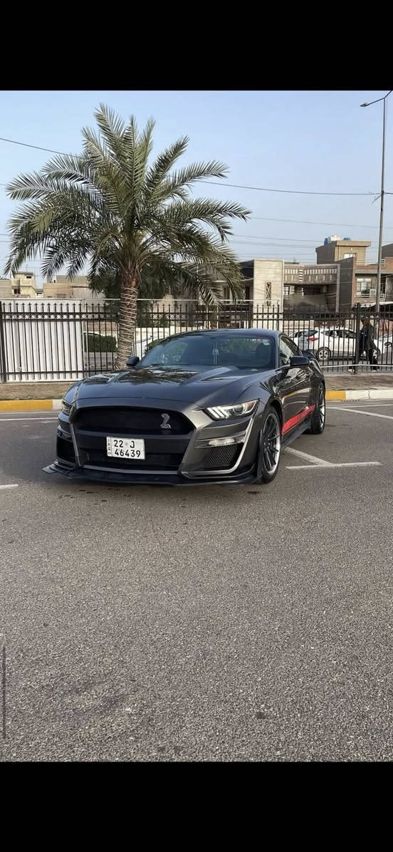 Ford mustang ecoboost v4
2016

سعر115 وبي مجال بسيط 

الحادث قطعة وحدة جاملغ خلفي وبيها بارد بسيط على كد الاصابع بجم  

كبس

مكينة موديل ٢٠٢٢

شوتة tاز كامله

sync 3 شاشة

وياله فيردا اصلية

مبرمجة أربع مودات قيادة

عليها ادامه كامله فلاتر وفيول بمب وبلكات وهل امور

دسكات جدد

تاريات جدد

محدثة شيلبي

منظومة عدسات جديدة

السيارة ربع متصرف عليها كاملة مكملة من حدادية مكينة كير

وأكسل

شباب لحد يقارنها بالمهجومات الحزام والقطع الصبغ لان السيارة قطعة وحدة صبغ ومصروف عليها هواي

مكانها بغداد

***********
