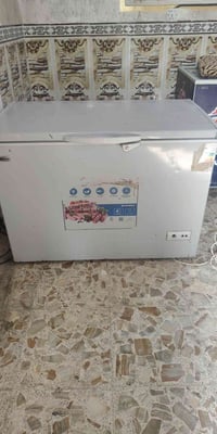 مجمدة • شينون • ١٧ قدم