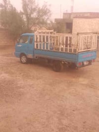 بنجو • نظيفه • تل عبطه