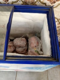 مجمدة • نضيفه • بغداد الحريه