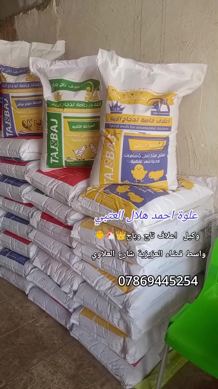 #بسم_الله اللهم صلي على محمد وال محمد 
#تم وصول أعلاف تاج وباج خاص للدجاج الزينة 
إلى (علوة احمد العتبي ) 👑🙂🐔🐥🕊️🐑
#للأعلاف_والاسمدة_والبذور 
#يوجد جميع أنواع الاعلاف 
(الدجاج _العربي_ والهراتي _ والزينه_ والدواجن _وعلاف تسمين مركزه_ ابقار_ وغنام_ والماعز_وعلاف طيور  بأنواعه )
#العنوان:واسط قضاء العزيزية شارع العلاوي 
اللاتصال (***********_***********)
