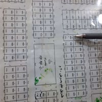 قطعه أرض للبيع مساحتها ٢٥٠ م ركن مكانها الحسينيه الشمالية رقمها ٢٥٣٧ ب...