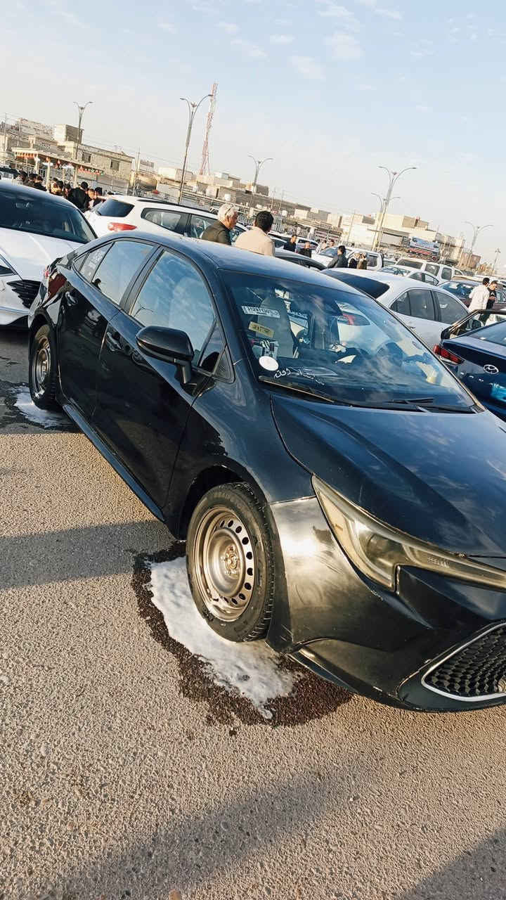 يا الله سلام عليكم. كورلا مديل 2021. وارد امريكي. حادثها. موجود بل صور تبديل فقط بنيد. ضربتها خفيفه كلش. وبل عراق بدلو باب صفحه العبري  الورة. اثر ذربه ستوته 
  LE مواصفاتها معروفه مكينه 1800 كير cvt. خير م̷ـــِْن •اللّـہ̣̥  حدادة 80% 
رادار
 سياقه ذاتيه كروس سرعه
سيد بريك بصمه
اوتو هولد كشنات مخمل  وبعد موصفات هواي  سيارة بعد سنه وصير حرة معوقين ناصريه تريد وكاله حاضر. سعر 120 وبيها. مجال.لشراي مستعجل علا بيعتها 
العنوان البصرة حي الاصدقاء. رقم العاتف غير متواجد علا نت اتصل وتدلل 
***********
