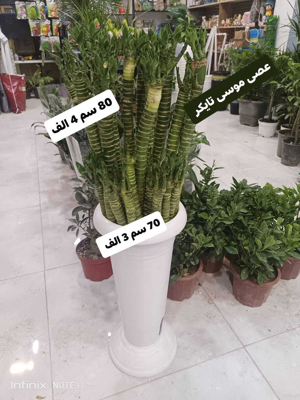 الانبار الرمادي العزيزية مكان الجديد...من جهة شارع العام  شارع ميسلون خلف مجمع برج المسك اول فرع على اليمين *********** ... يوجد توصيل داخل الرمادي...
