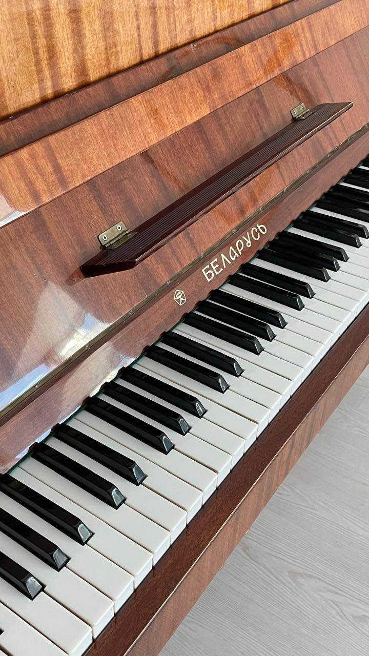 🎹Piano for sale, 1200$ 
Piano Belarus, perfect for those who want to start piano with a real piano.


**إذا كنت صاحب هذا الإعلان وتريد حذفه لأي سبب، رجاءا أرسل رسالة إلى الدعم الفني**