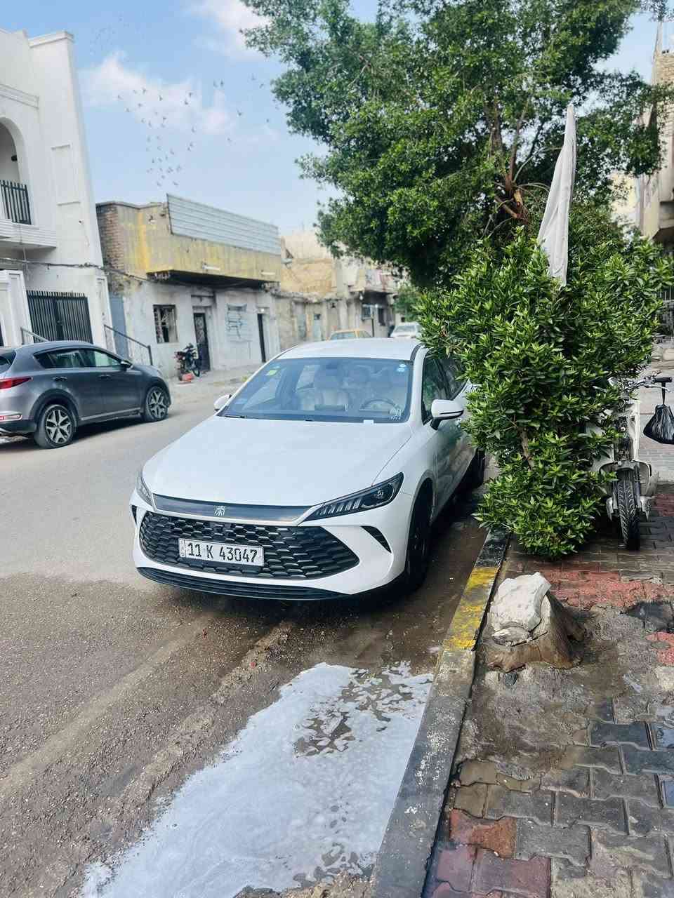 بي وايدي جن بلاس
٢٠٢٥
داخل ابيض
زيرو عداد ٥٠٠
المكان بغداد 
السعر ١٨٢٠٠
***********
