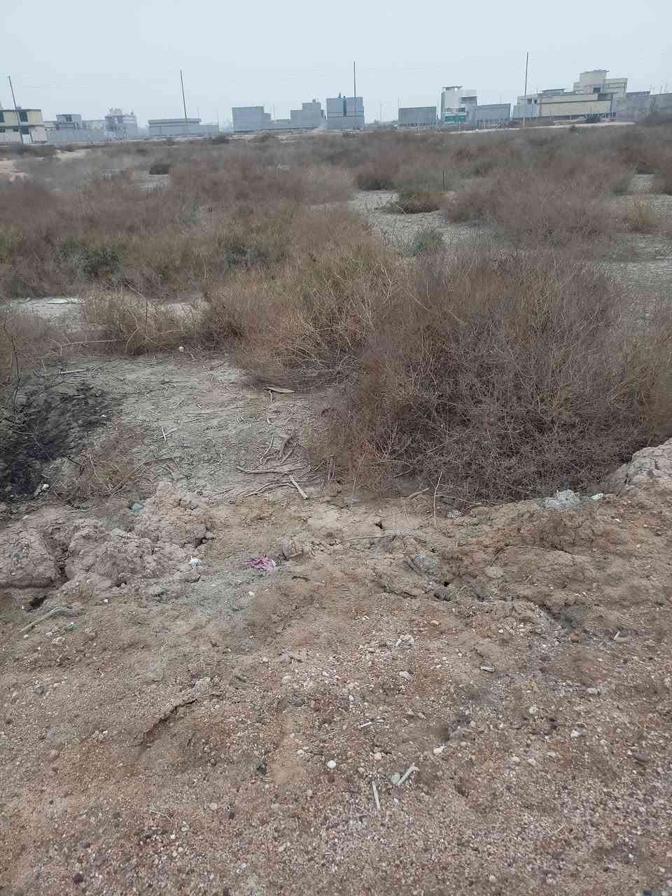 قطعه ارض للبيع 
مقابيل الميناء قريبه على الكورنيش 
المساحه 200 متر 
السند طابو صرف زراعي ملك 

للاستفسار الاتصال على الرقم ***********
