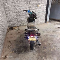 موديل 23 • أوراق كاملة • بابل