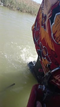 07861397997        25