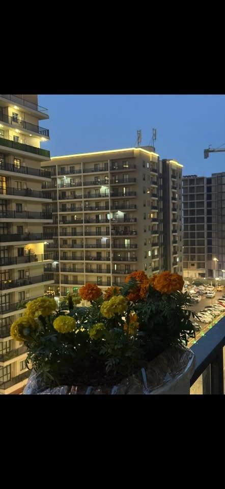 🏢 شقة للبيع في مجمع السلام السكني/حي الجهاد
🏚️ فرصة لا تعوض 

📍 الإطلالة: مباشرة على الحديقة الكبيره

📐 المساحة:113 م²

🏢 الطابق: 6 الشقة رقم 62

🏷️ البناية: B7

✅ الشقة  تحتوي على كاونتر خشب حديث + سبالت  

✅ مجموع الأقساط المتبقية يقارب 132 مليون دينار

✅ قيمة القسط: 657 ألف دينار شهرياً

✅ قيمة القرض الكلي : 150 مليون دينار

✅ غير مطلوبه ولا شهر 

💰 المطلوب من المشتري : 75 مليون دينار فقط.

📌 ملاحظة: البيع من صاحب الشقة حصراً .

📞للاستفسار؛‭***********‬
