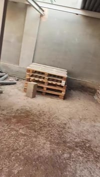 السماوة • قضاء الرميثة • بالطن