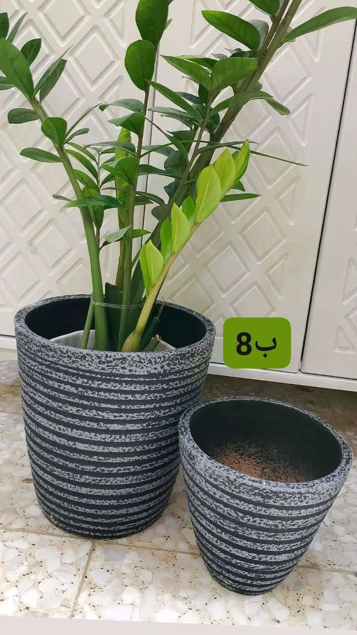 توصيل متوفر جميع المحافضات


**إذا كنت صاحب هذا الإعلان وتريد حذفه لأي سبب، رجاءا أرسل رسالة إلى الدعم الفني**