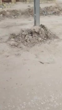 هيكل • بناء ١٥٠م • قطعة ٢٥٠م