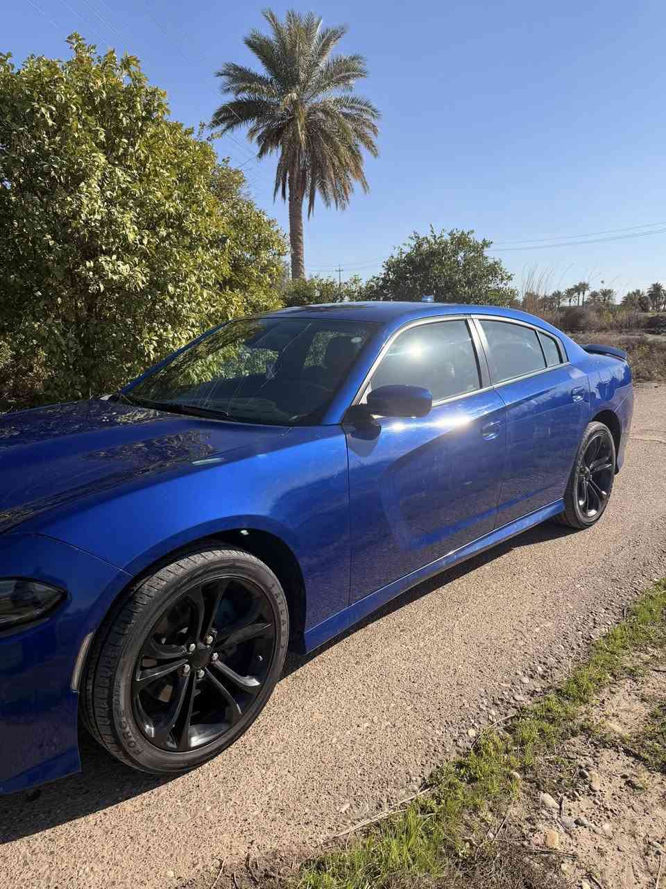 سلام عليكم 
جارجر gt 2020 
3 قطع / بنيد وجاملغ وباب سكن بالعراق انطخ بدون دواخل 

الباقي كله كفاله 
السياره استخدام شخصي ماشية 91 الف حقيقي 
محرك كير اكسل كله مكفول وعلى وضع الشركه 
عليها ادامة كامله صدر جديد


**إذا كنت صاحب هذا الإعلان وتريد حذفه لأي سبب، رجاءا أرسل رسالة إلى الدعم الفني**
