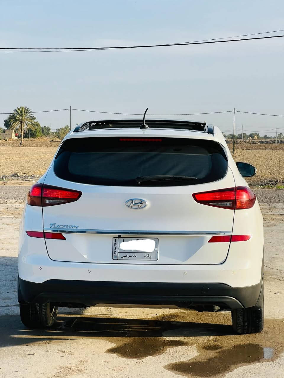 السلام عليكم
هيونداي توسان 2020
خليجي رقم بغداد الجديد شركة الكاصد 
فول مواصفات واحد ع واحد شباك لكززمكفولة من الصبغ والتبديل والبارد 
المواصفات 
خمس عدسات 
لايتات زنون
مري شفط 
5 ويل كاب 
كراسي كهرباء 
اوتو هولد
حساسات امامي خلفي
ثلاجة جكمجة
مانع انزلاق 
دشبول صاج 
اريل نفيكيشن
هند بريك رجل
تحكمات مقود
تبريد شاشة 
دخول بصمة ذكي
رقم بغداد
مكان السيارة بابل منطقة الخميسيه
اتصل وبيك خير وتدلل  ***********
***********
للبيع او المرواس حسب القناعه ‏‎
