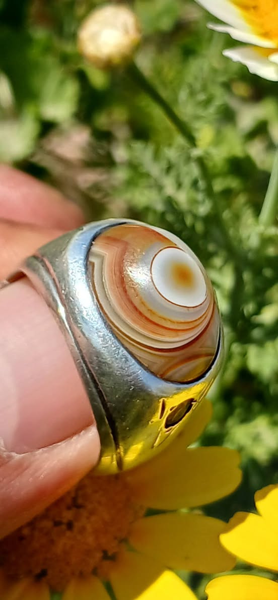 سليماني قديم .. صياغة قديمة تطعيم الصفاح زمرد


**إذا كنت صاحب هذا الإعلان وتريد حذفه لأي سبب، رجاءا أرسل رسالة إلى الدعم الفني**