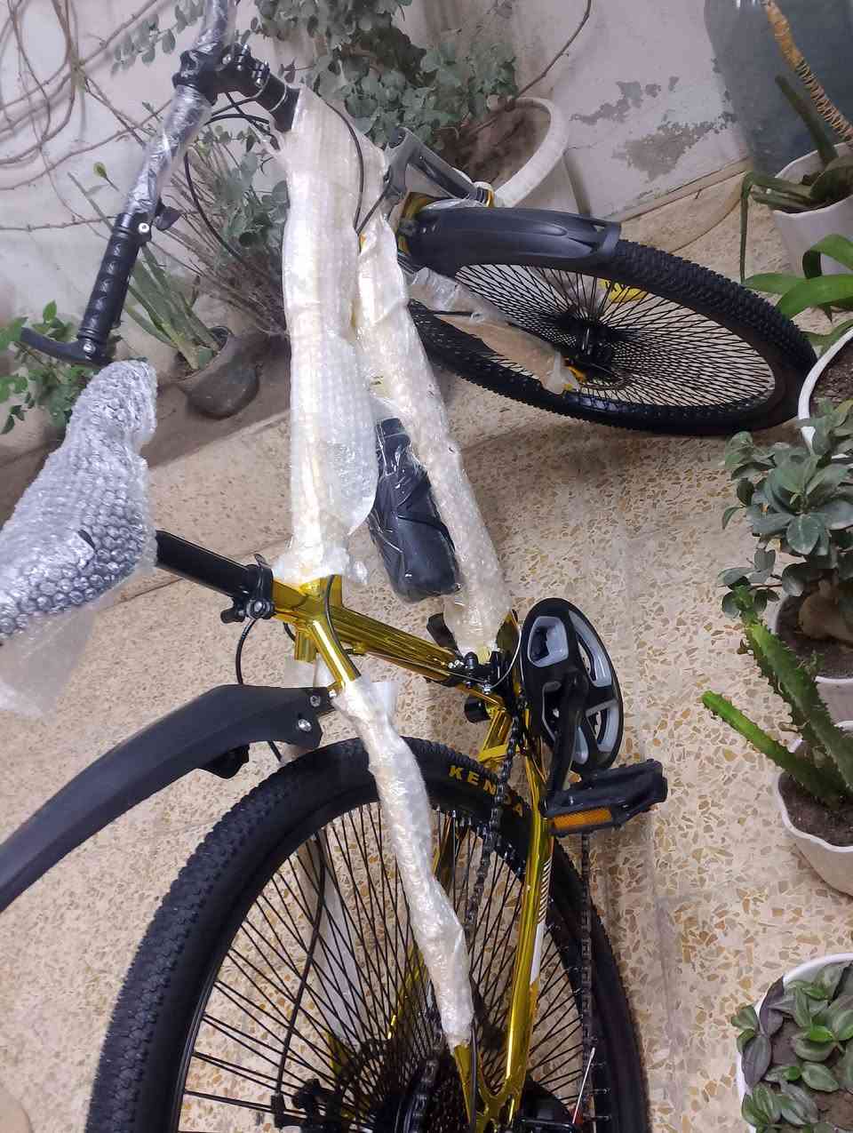 (جديد مستخدم ابدد )✅
حجم 26✅
كير فقاص 2 شغالات + بريكات ثنين شغالات+ ✅
(بيسكل كدام العين نظافه 100%)✅
ما مستخدم خلاص ✅
شراي تعال خاص ✅
(السعر 140 الف وبي مجال للطيبن )✅
ماشراي لاتعلق ولا تجيني خاص✅ 
(نوعيه تركي)✅


**إذا كنت صاحب هذا الإعلان وتريد حذفه لأي سبب، رجاءا أرسل رسالة إلى الدعم الفني**