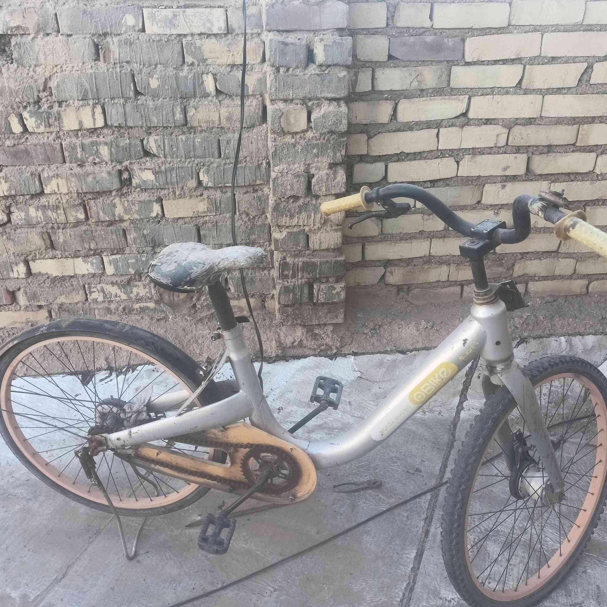 السلام عليكم بايسكل للبيع. 

كامل مابي اي نقص 

السعر 25 

للستفسار اتصل على الرقم 

👇👇👇👇👇👇👇
***********
