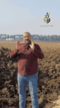 الدمن ( السماد الحيواني ) 
من اهم الامور التي نشجع عليها في الزراعة 
لما له من اهمية في اعادة الحياة للتربة وتنشيطها
ويفضل ان يكون متخمر خاصة اذا تم استغلال اشهر الصيف الحار وتم تغطيته ليتخمر ويكون جاهز للاستخدام
عملية تخميره تقضي على مسببات الامراض وبيوض الحشرات وكذلك بذور الادغال 
يقلل من ملوحة التربة
يقلل من كميات الهدر بمياه الري 
يحسن مواصفات التربة 
والكثير الكثير من الفوائد 
مكتب النور الزراعي( شركة الماس الاصفر ) 
بغداد - اليوسفية - علوة الرمل 
***********
***********
#اسمدة_عضوية
#زراعة_عضوية
#حنطة
#ثمار_نظيفة
