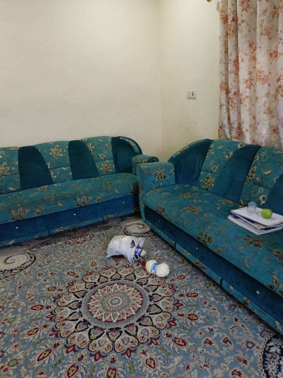 تخم 10 نفرات نضيف اي ضرر مابي سعرة 175 وبي مجال مكان سماوة


**إذا كنت صاحب هذا الإعلان وتريد حذفه لأي سبب، رجاءا أرسل رسالة إلى الدعم الفني**