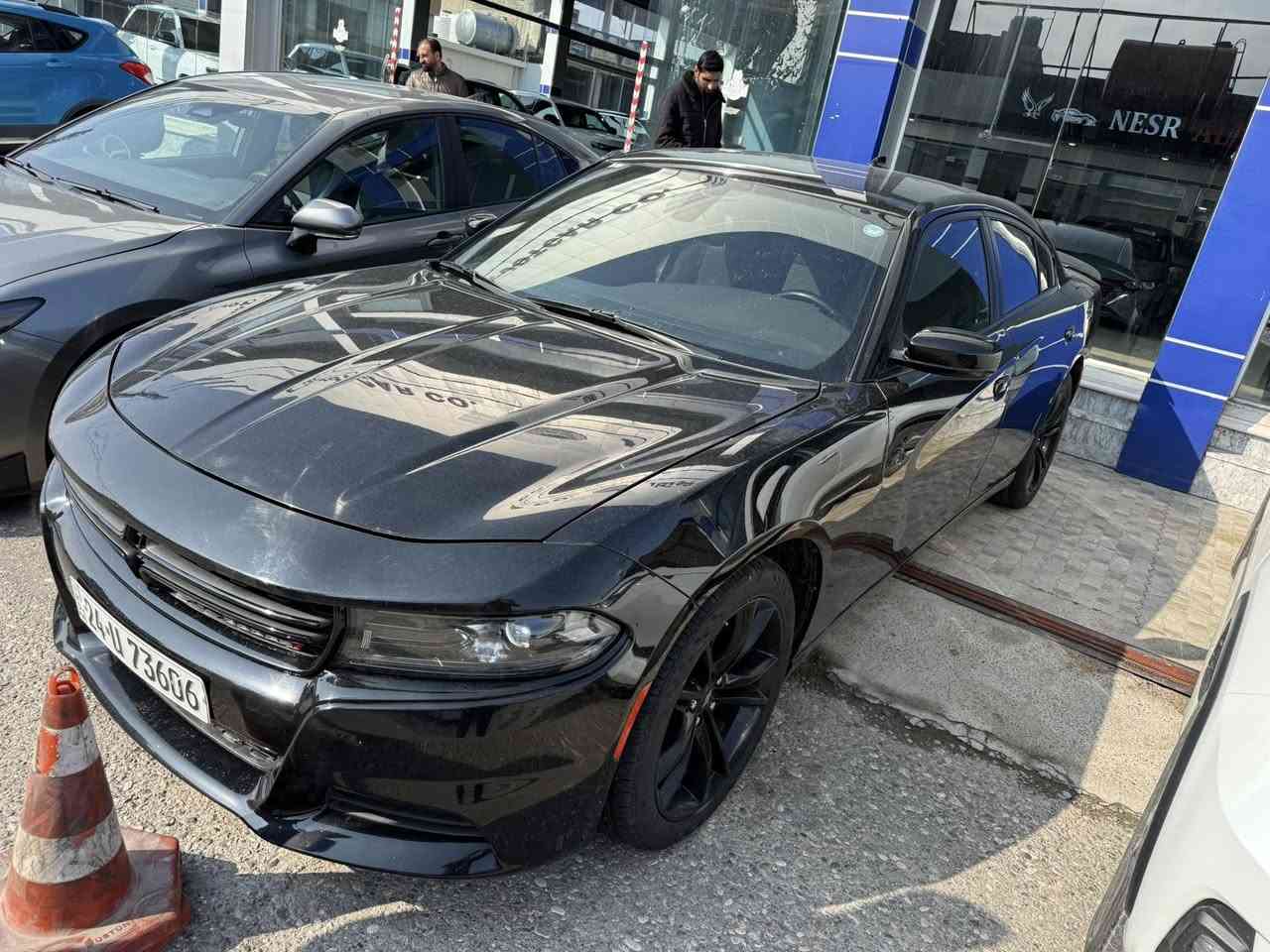 دوج جاجر 2023.     ***********
