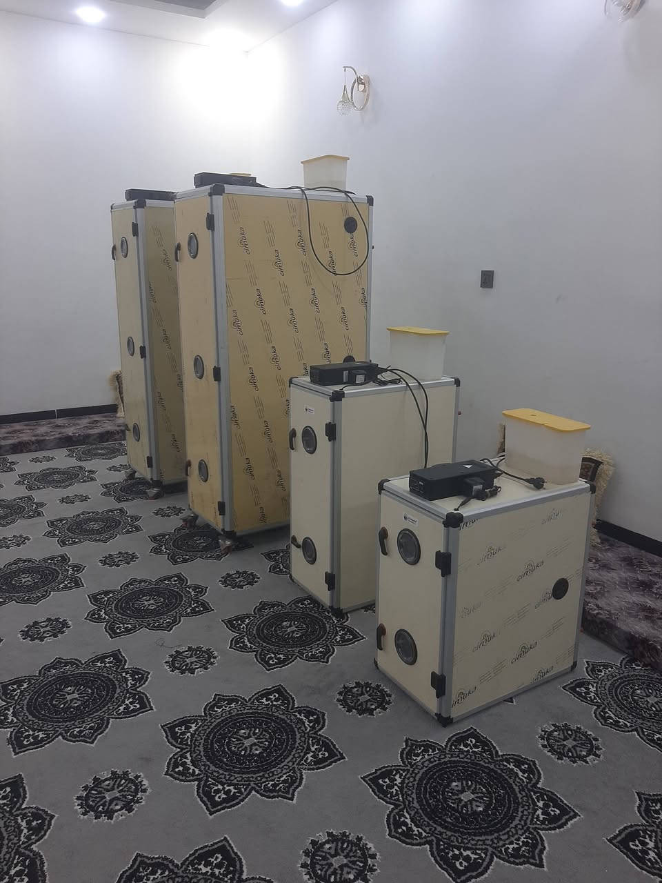 متاح فقاسات جيموكا 700 بيضه عدد 2 نضام وجبات  و 180 بيضه و 120 بيضه  نسبه تفقيس ٩٩%وغنيه عن تعريف اخوان الي يريد يتصل او يراسلني خاصص
رقم الهاتف 
***********
         و
***********
المكان صلاح الدين تكريت
{ متاح فقط الاتصال }
