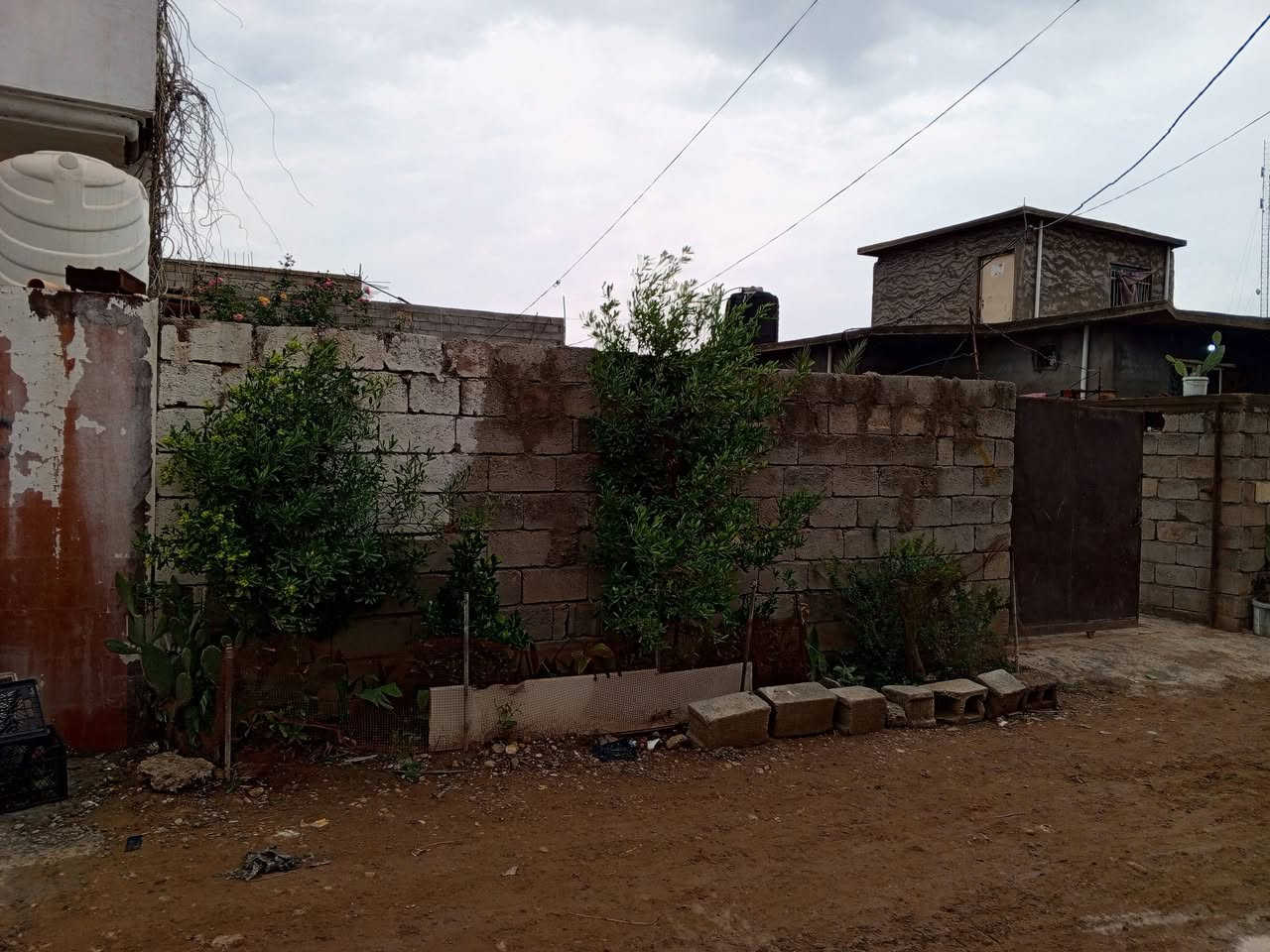 يوجد دارالبيع الهارونية العقود المساحة ٤٠٢٧ متر علمن انة ادار يطل على شارعين حديقة المساحة ٢٠٠متر+ استغبال +هول+مطبخ امامي+مطبخ خلفي+غرفتين نوم الستفسار اتصال ***********
