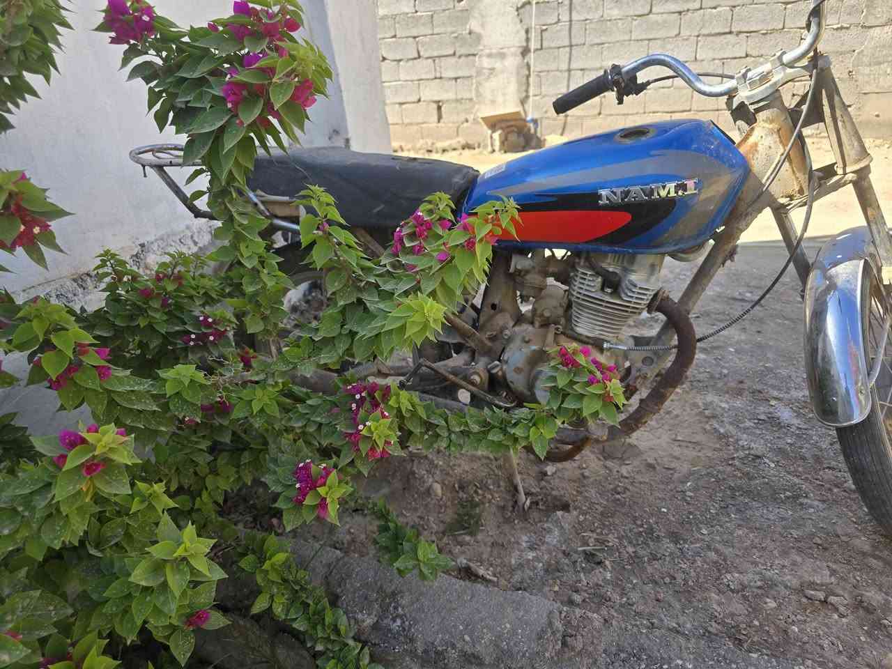 سلام عليكم دراجه كلك للبيع شغاله كلشي مابيه 
المكان كربلاء جامعت فريحه 
***********
