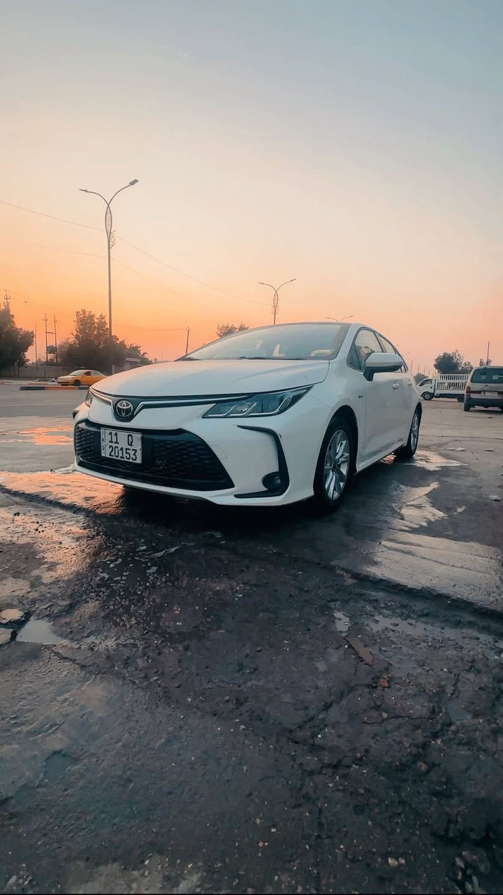 سلام عليكم هايبرد 2025  ماشيه 13 الف فول عده كرسي كهرباء كفاله عامه مدوشمه كشنات ورضيه ودشبول مغلف وابيبان مكلفتي 400 الف سعر 168 مكاني بغداد


**إذا كنت صاحب هذا الإعلان وتريد حذفه لأي سبب، رجاءا أرسل رسالة إلى الدعم الفني**